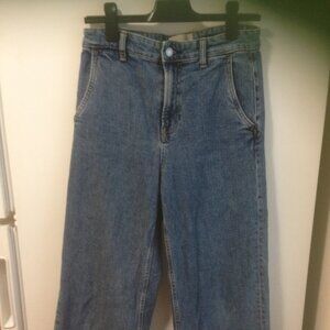 Everlane The Wide Leg Jean 29 Ankle